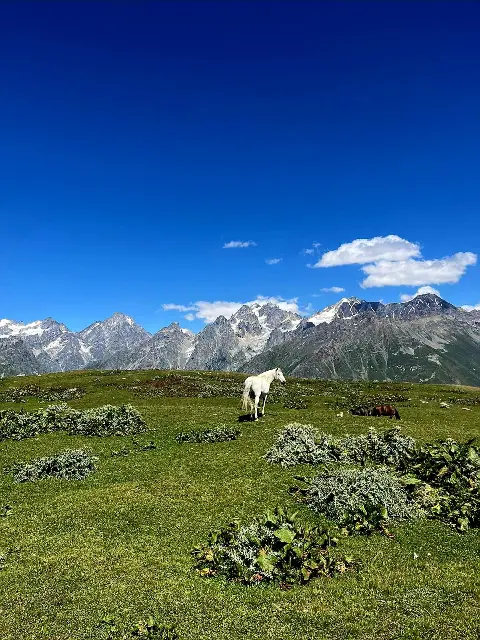 Mestia, Svaneti